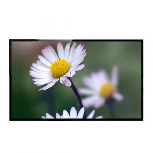 32 Inch Glasses-Free 3D Display Monitor for Commercial Applications
