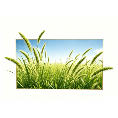 98 Inch UHD 3D Monitor No Glasses Needed Naked Eye 3D LCD Advertising Player - 图片 3