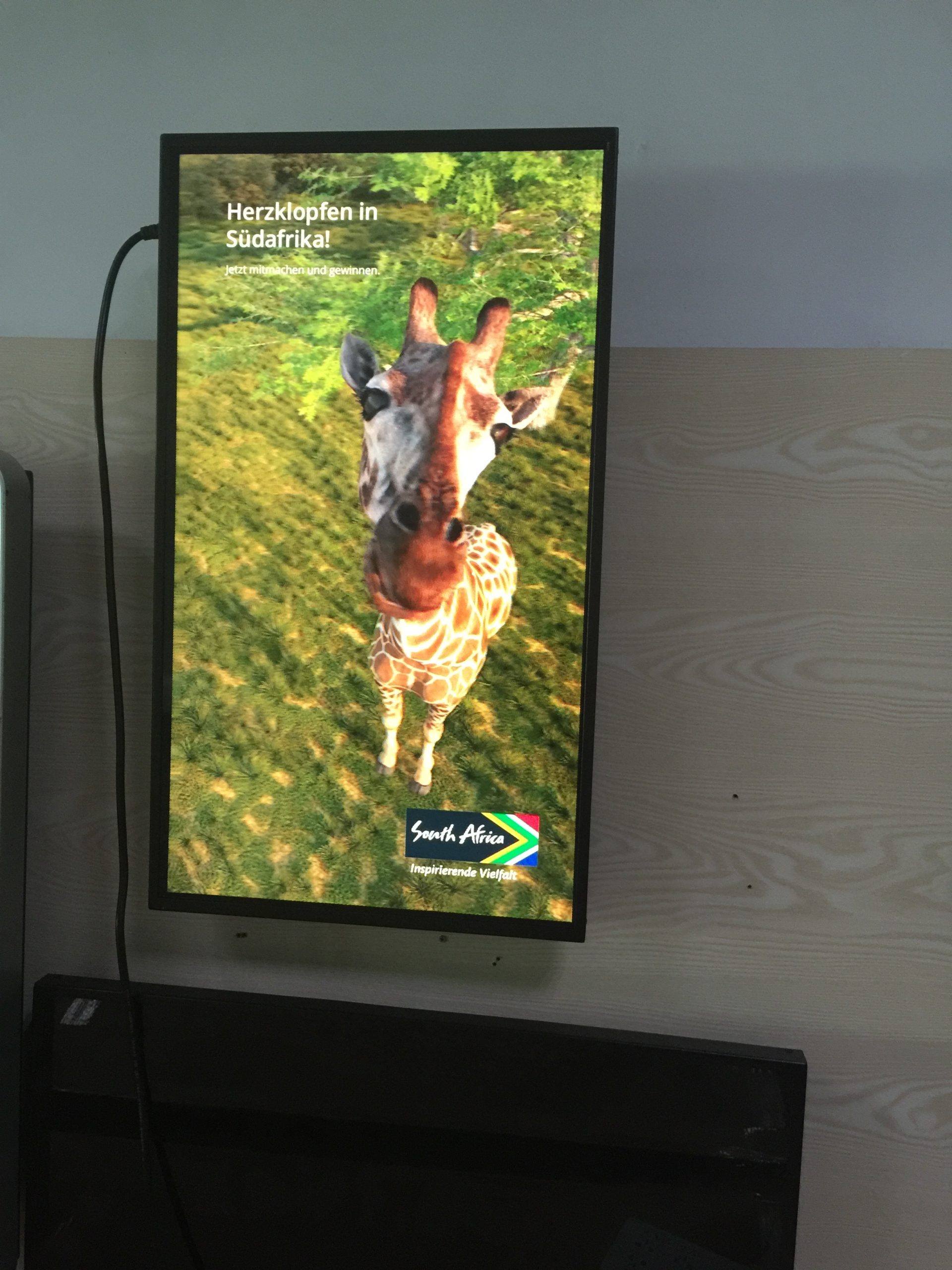 glasses-free 3D monitor - image 2