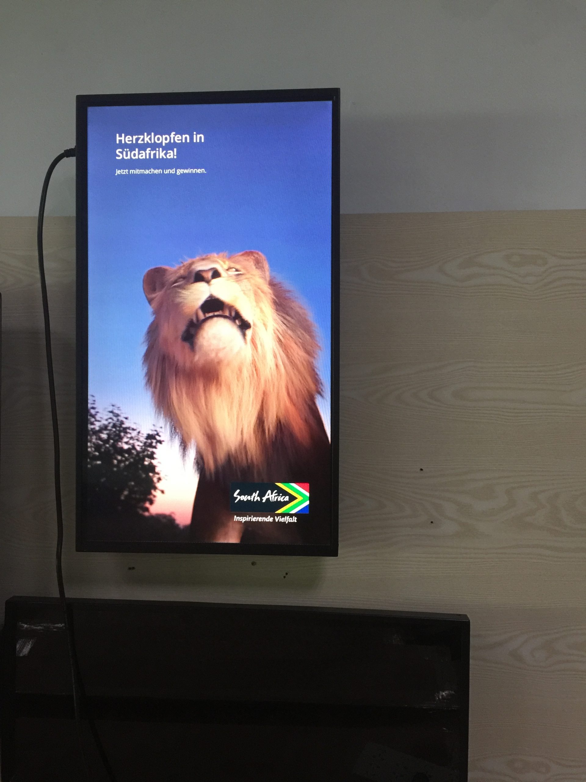 glasses-free 3D monitor - image 3